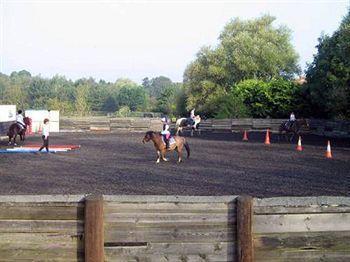 شيشستر Willowbrook Riding Centre المظهر الخارجي الصورة